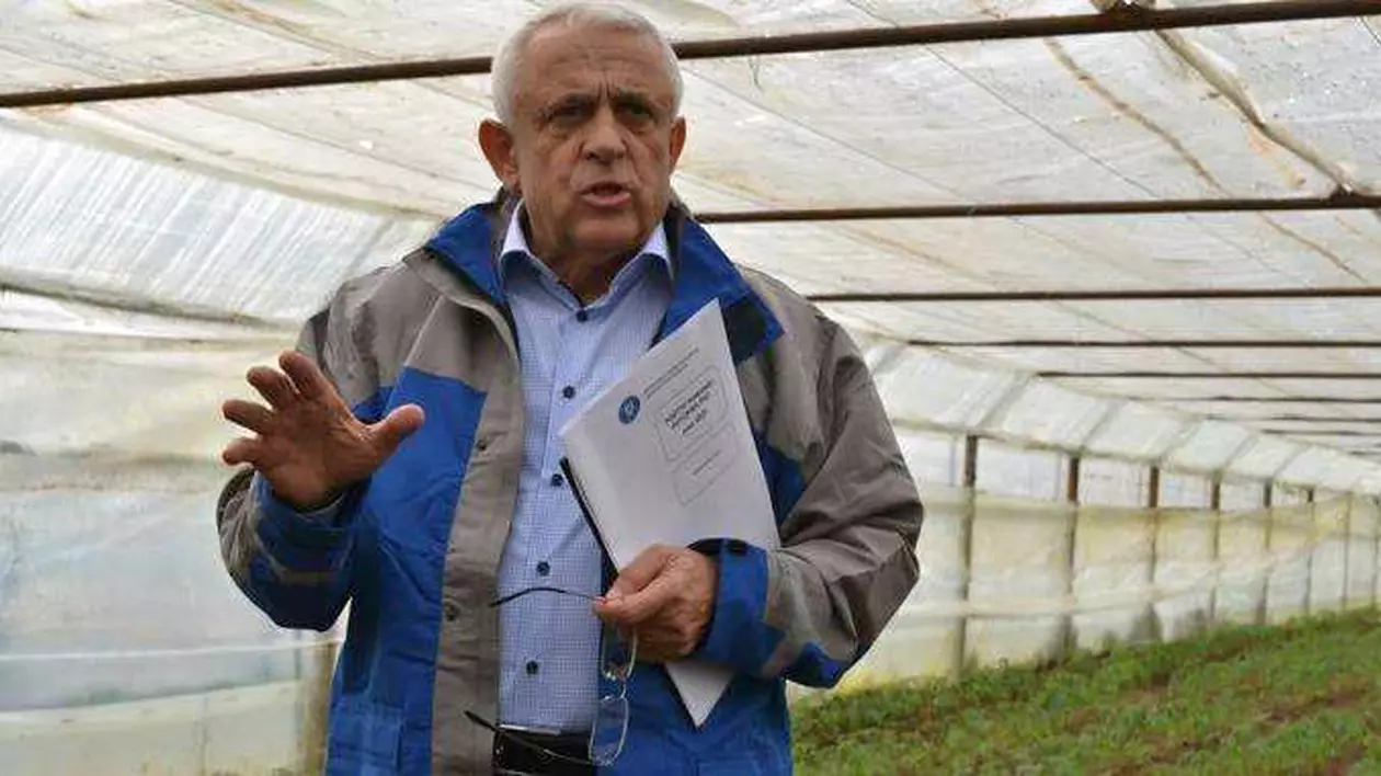 Petre Daea a explicat de ce a explodat prețul cartofilor: depozitarea ar fi scumpă. "La Bruxelles, piața e de trei ori mai scumpă ca în România"