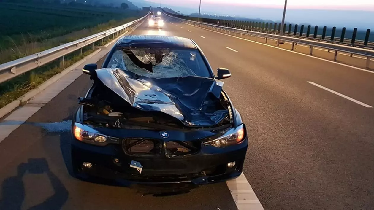 O mașină a lovit un cerb pe Austostrada 10