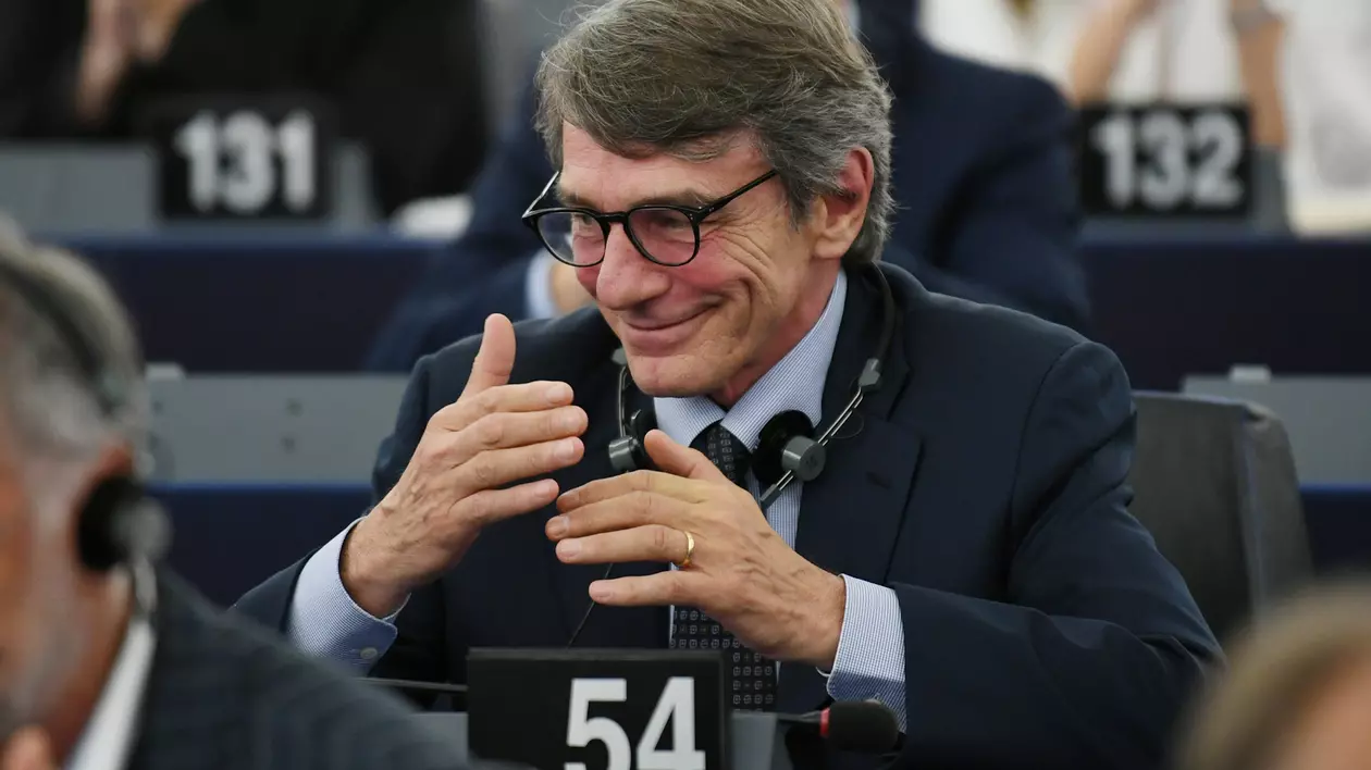 Comisia JURI: ”Există o îndoială serioasă că Rovana Plumb își poate exercita rolul de comisar”