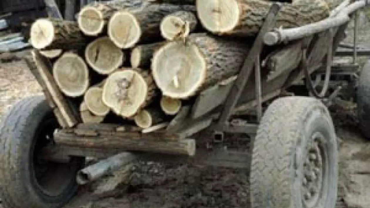 Un tânăr din Argeș a murit după ce o căruță cu lemne s-a răsturnat peste el