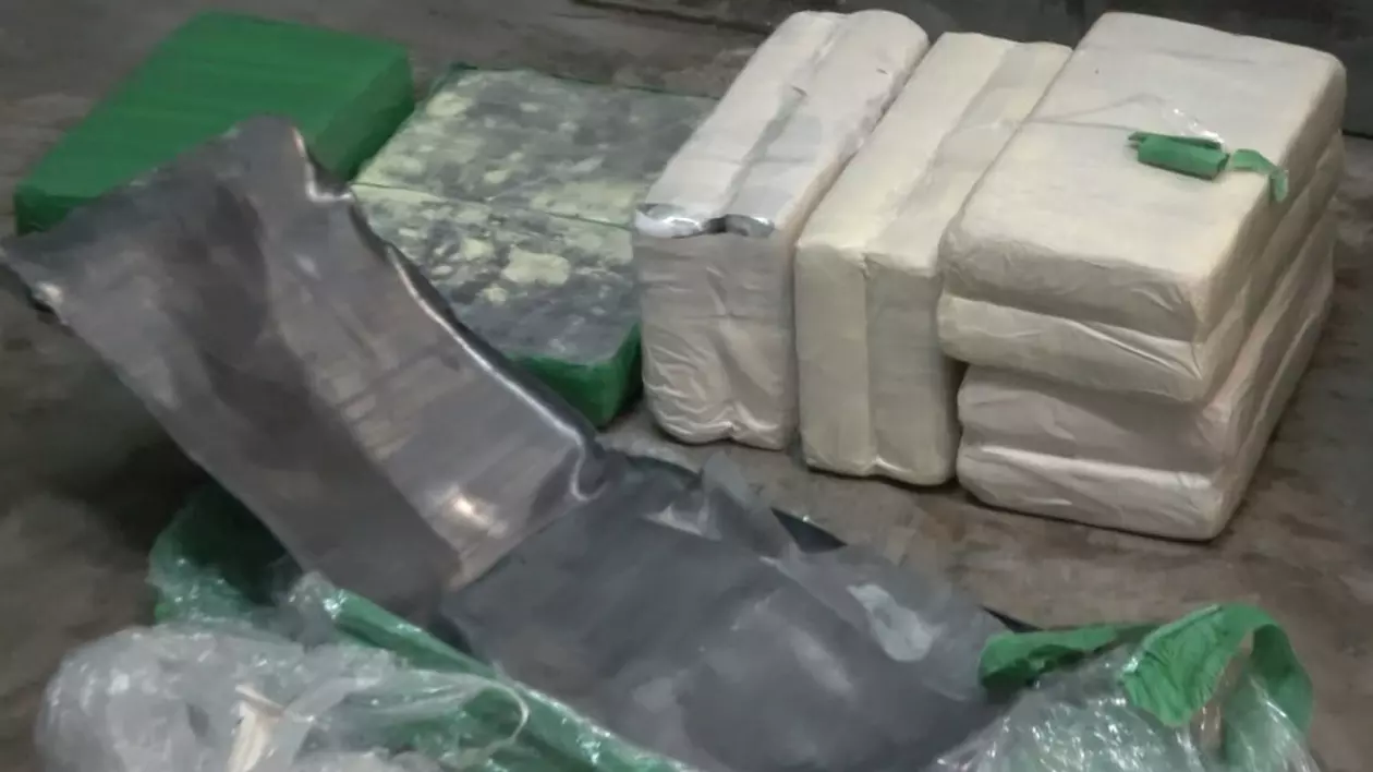 Peste 70 de kg de cocaină, descoperite în cutii cu banane într-un depozit din Bulgaria
