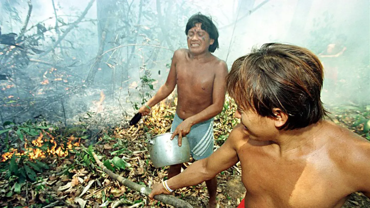 Furie în creștere împotriva guvernului Braziliei din cauza incendiilor din Amazonia