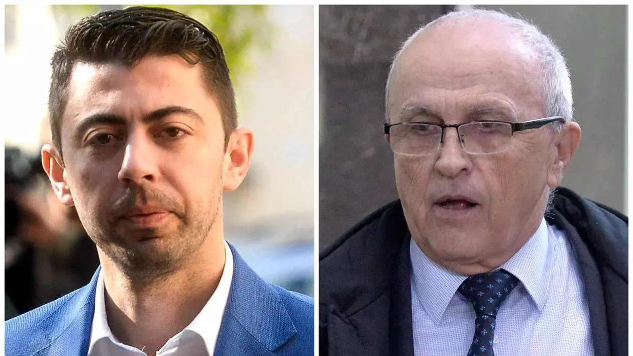 Vlad și Mircea Cosma
