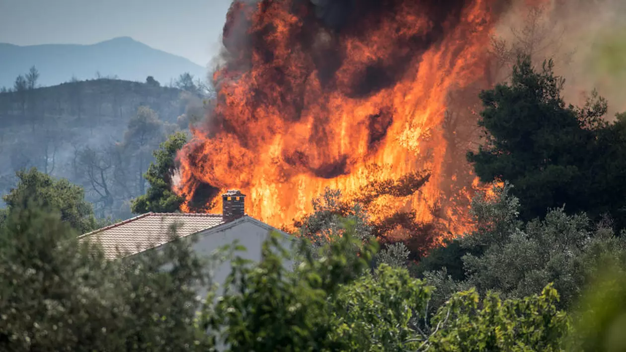 Incendiu de proporții în apropiere de stațiunea grecească Nea Makri