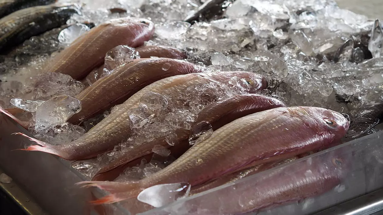 Pește stricat descoperit de inspectorii ANPC în supermarket-uri și hypermarket-uri din București! Ce sancțiuni au fost aplicate
