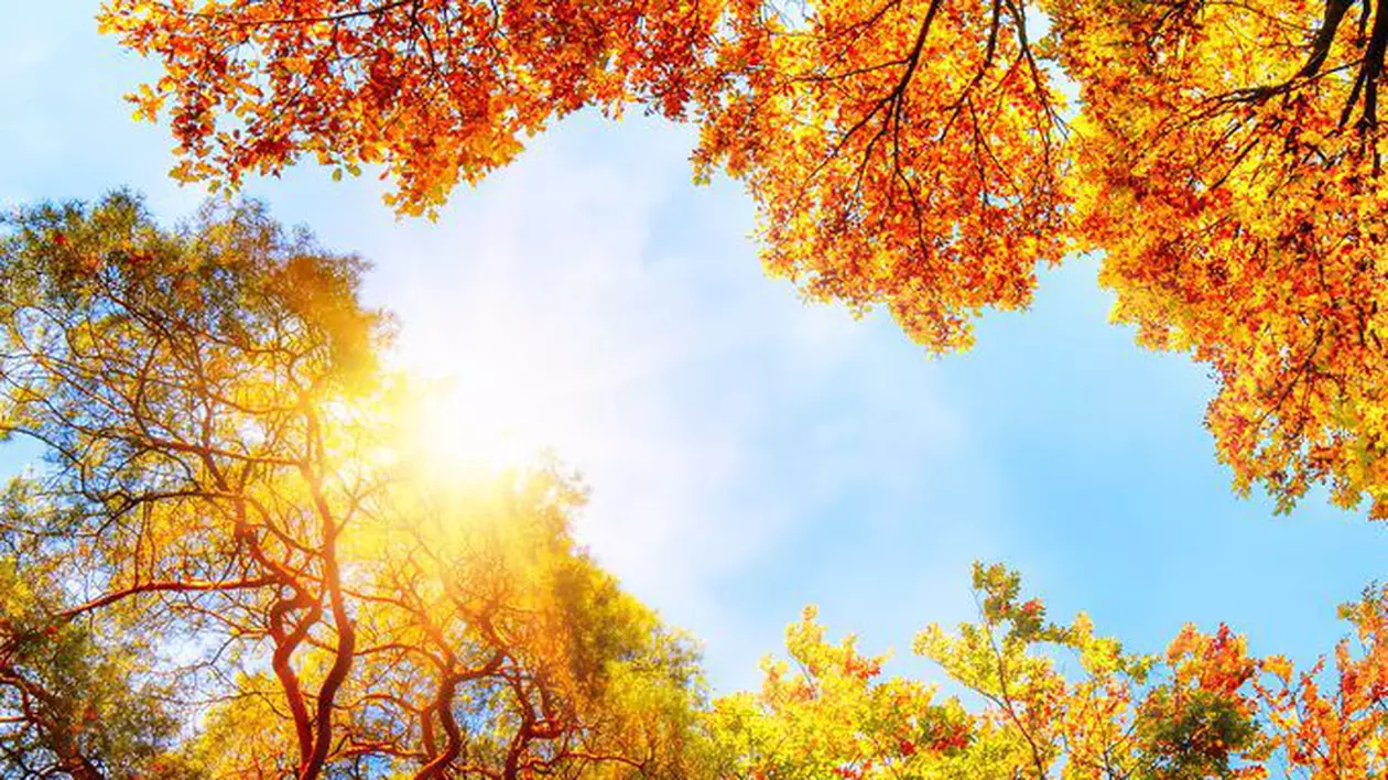Prognoza meteo pentru perioada 9-22 septembrie (123rf.com)