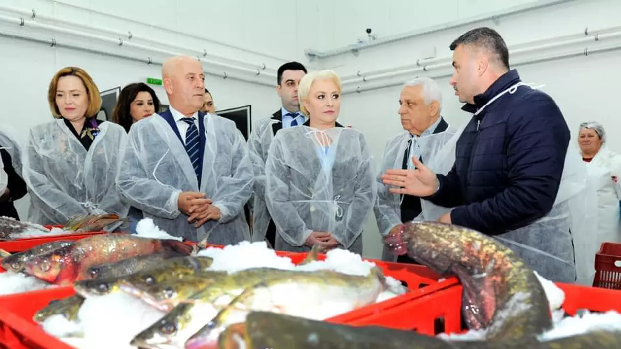 România trebuie să restituie UE banii pentru bursa de pește de la Tulcea. A fost închisă după inaugurarea premierului Dăncilă