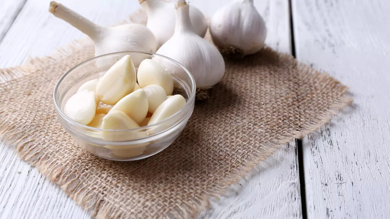Plante cu proprietăţi antibiotice