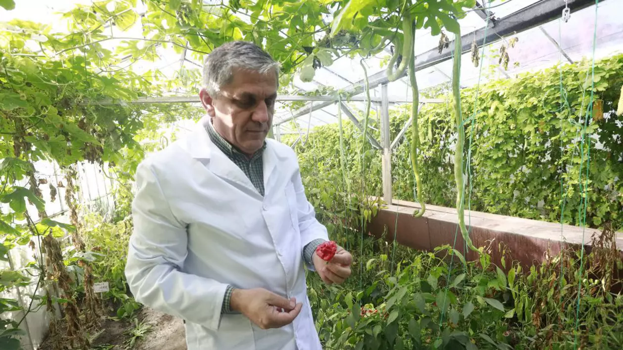 Directorul Băncii Naționale de Gene, cercetătorul Costel Vânătoru, a fost demis. În locul lui a fost numit un jurist