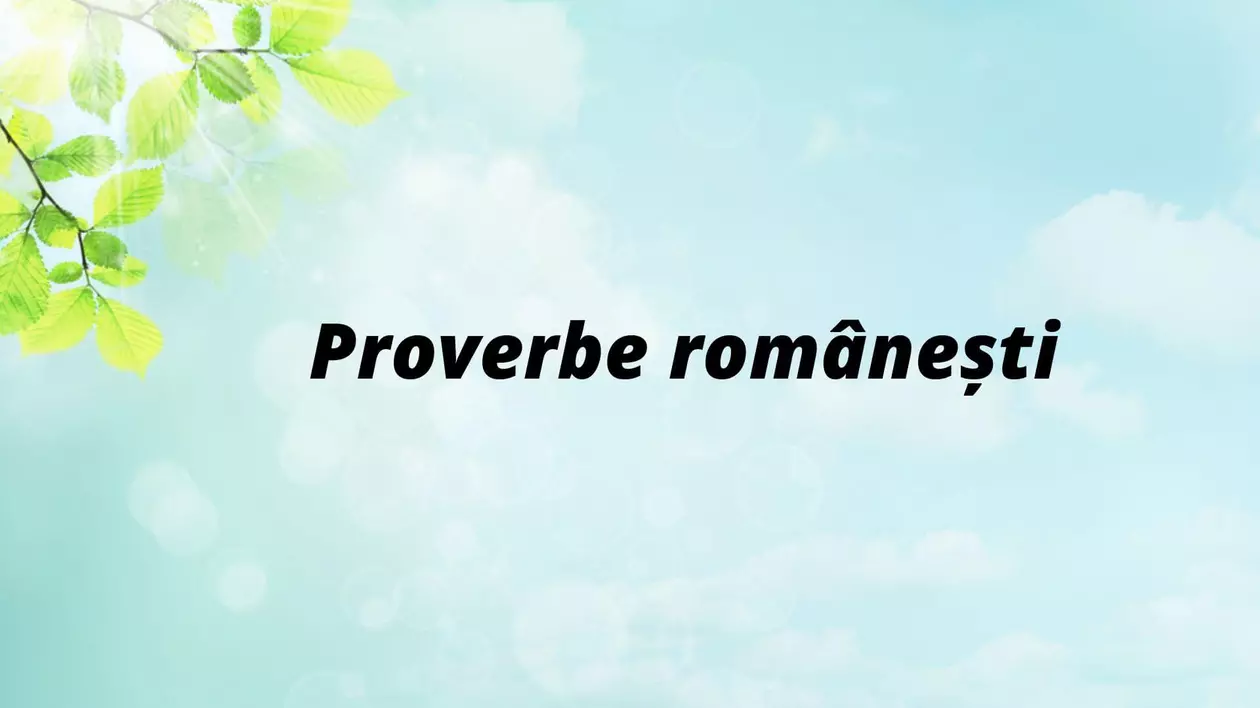 Proverbe românești