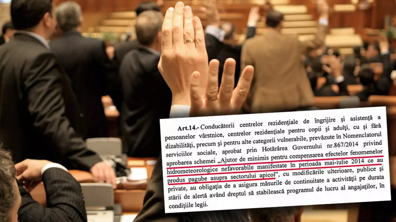 Gafă în lanț în legea privind starea de alertă: Persoanele vulnerabile, confundate cu apicultorii. Trei instituţii nu au sesizat eroarea, iar senatorii chiar au votat-o așa