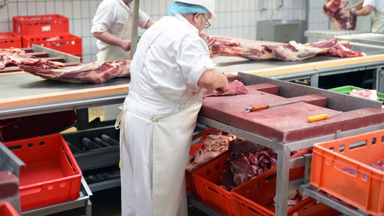 Deutsche Welle: Zvonuri legate de vânzarea gigantului Tonnies, în abatoarele căruia lucrează mii de români din Germania