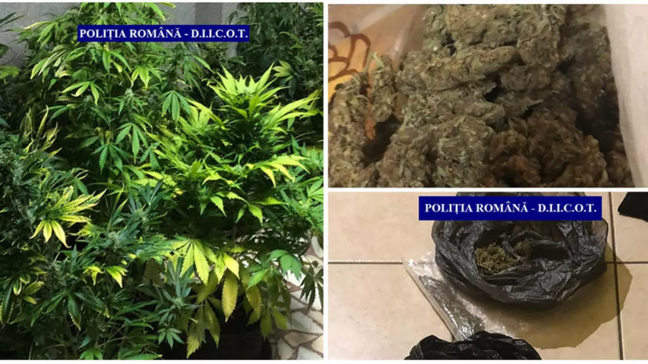 Polițist de frontieră, prins în casa unui traficant de canabis. A sărit de la balcon ca să scape