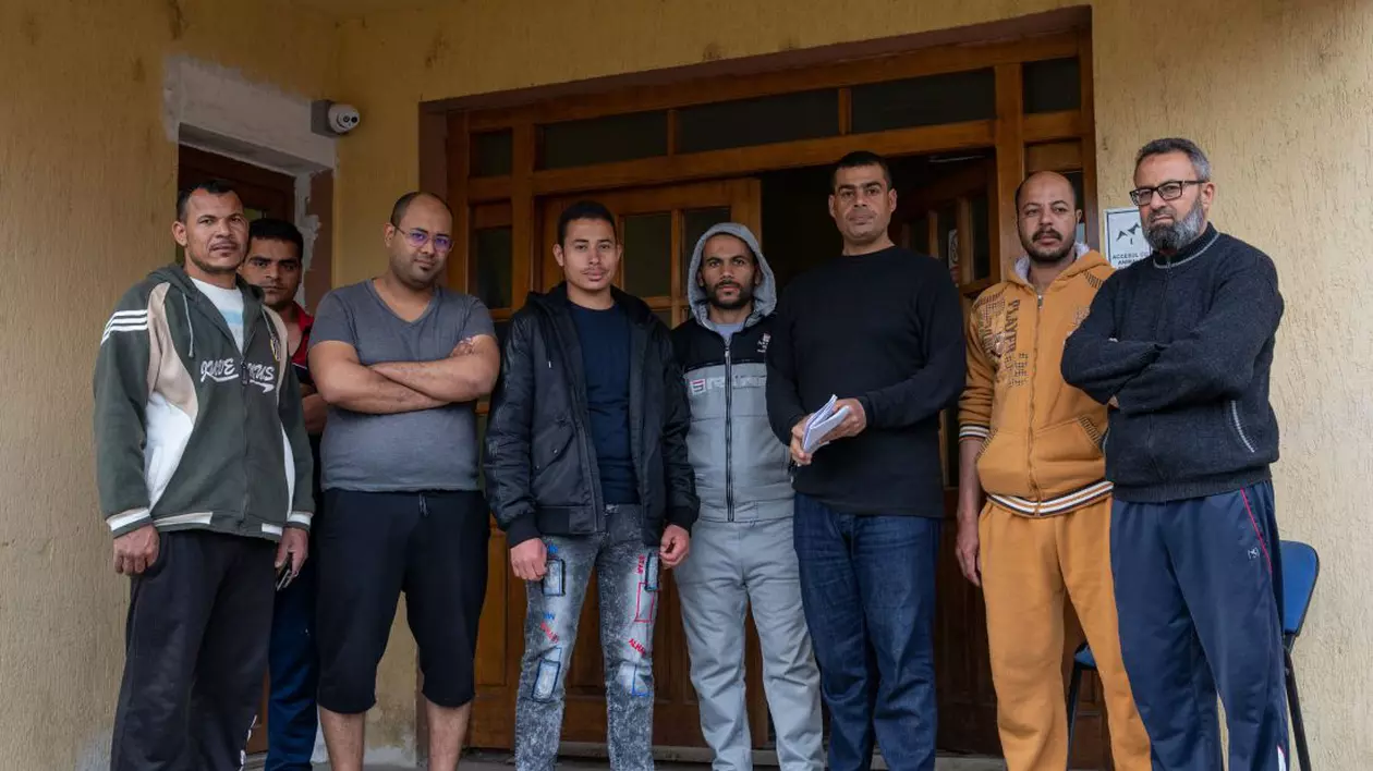 Eșecul autorităților. SRI, ITM, Imigrările și Ambasada Egiptului știau de săptămâni de muncitorii străini abandonați la Sibiu. I-au salvat o ONG-istă irakiană și Crucea Roșie (III)