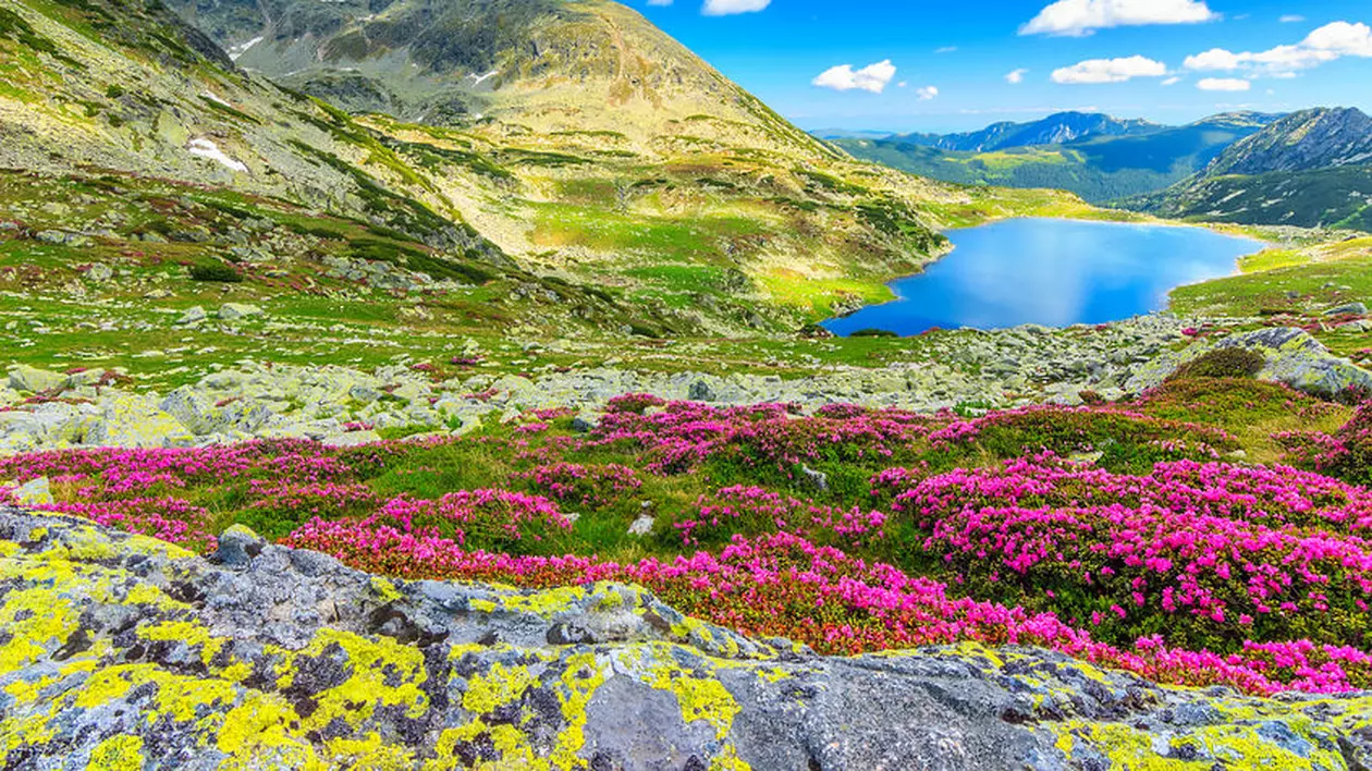 Parcuri naționale și parcuri naturale din România