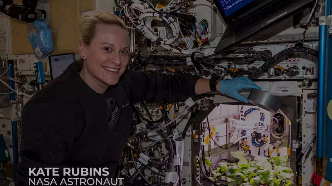 ﻿VIDEO | Prima recoltă de ridichi din spațiu, crescută de un astronaut NASA