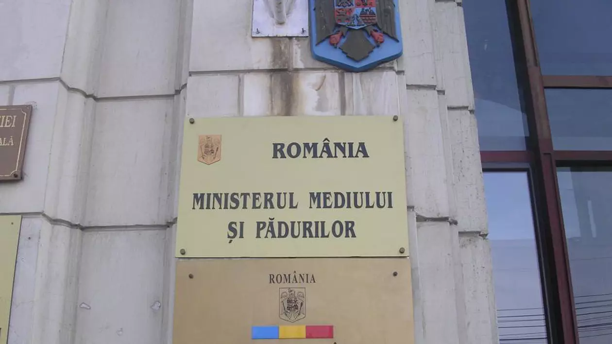 Fiică de primar ajunsă şefă într-un minister şi rugată să spună ce o recomandă pentru post: „Acum ce mă întrebaţi din astea!?”