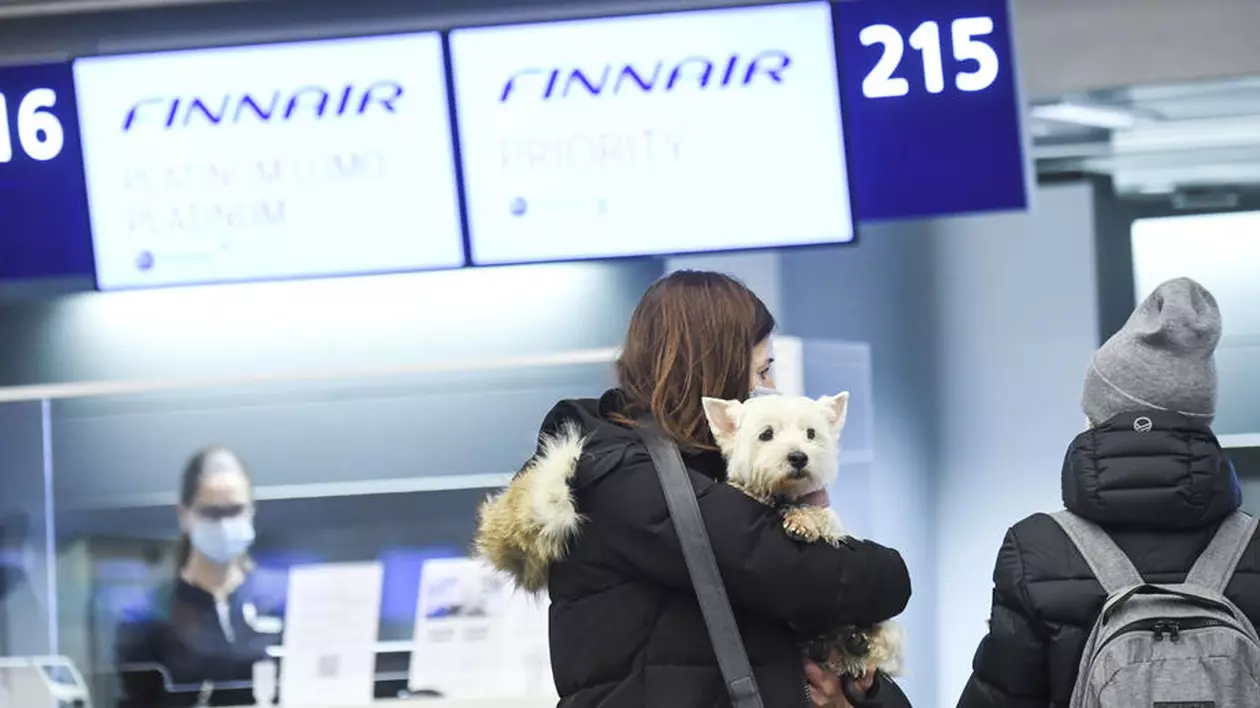 Cum poți deveni finlandez în 90 de zile. Sistem inedit de imigrare și mii de cereri primite într-o lună
