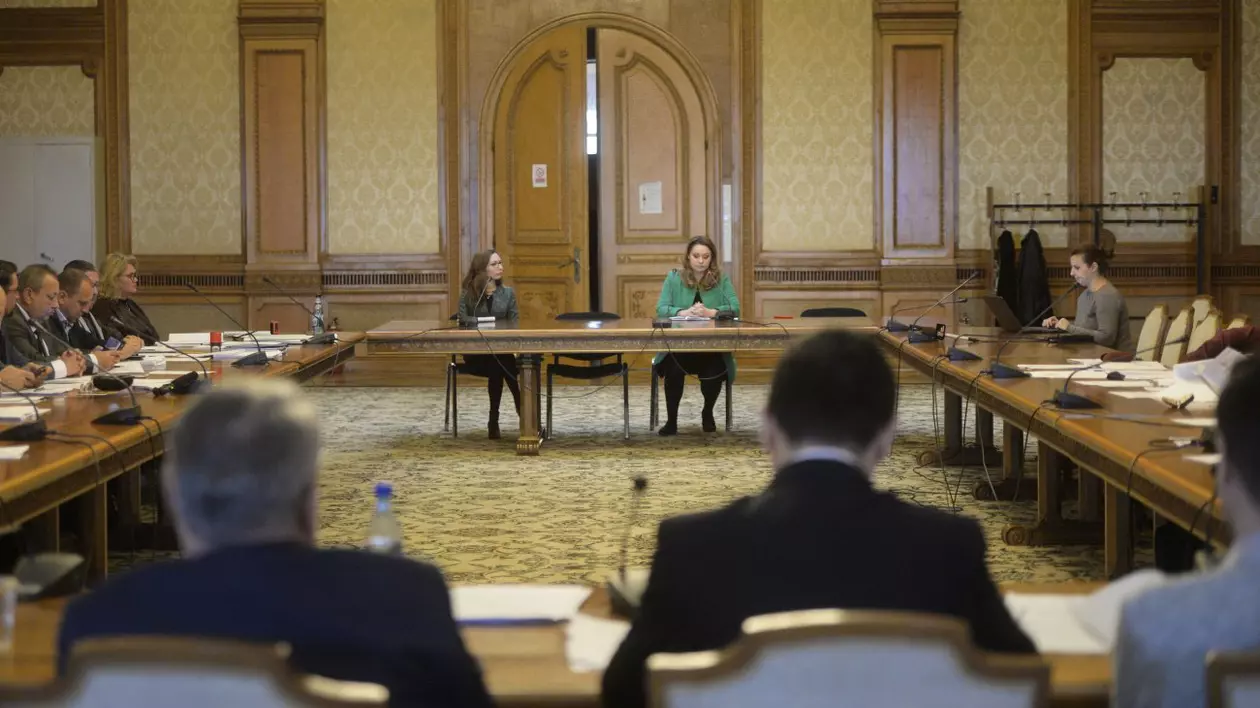 Audieri in sedinta comisiilor reunite de cultura ale Parlamentului pentru ocuparea unui loc ce urmeaza a se vacanta in Consiliul National al Audiovizualului (CNA), noiembrie 2018. Foto: Hepta