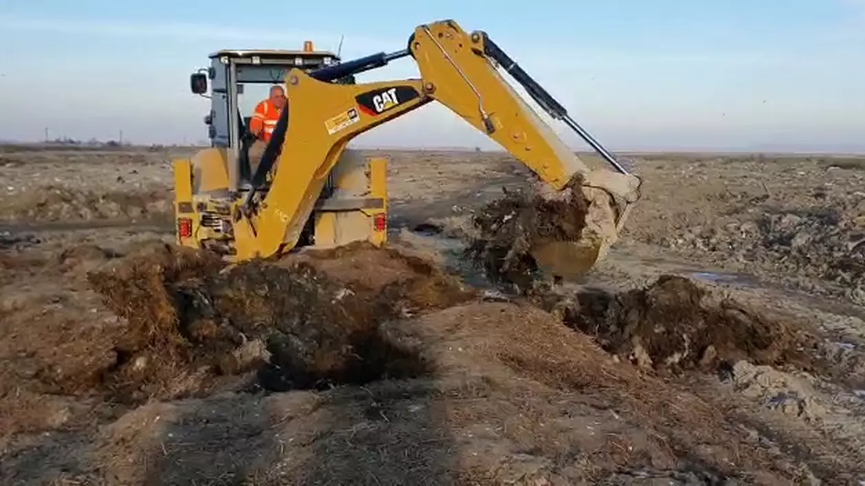 Complicitățile dezastrului ecologic ies la iveală: incineratorul cu cimitir ilegal de animale de la Smârdan a fost controlat degeaba de 5 ori în 2018 și 2019!