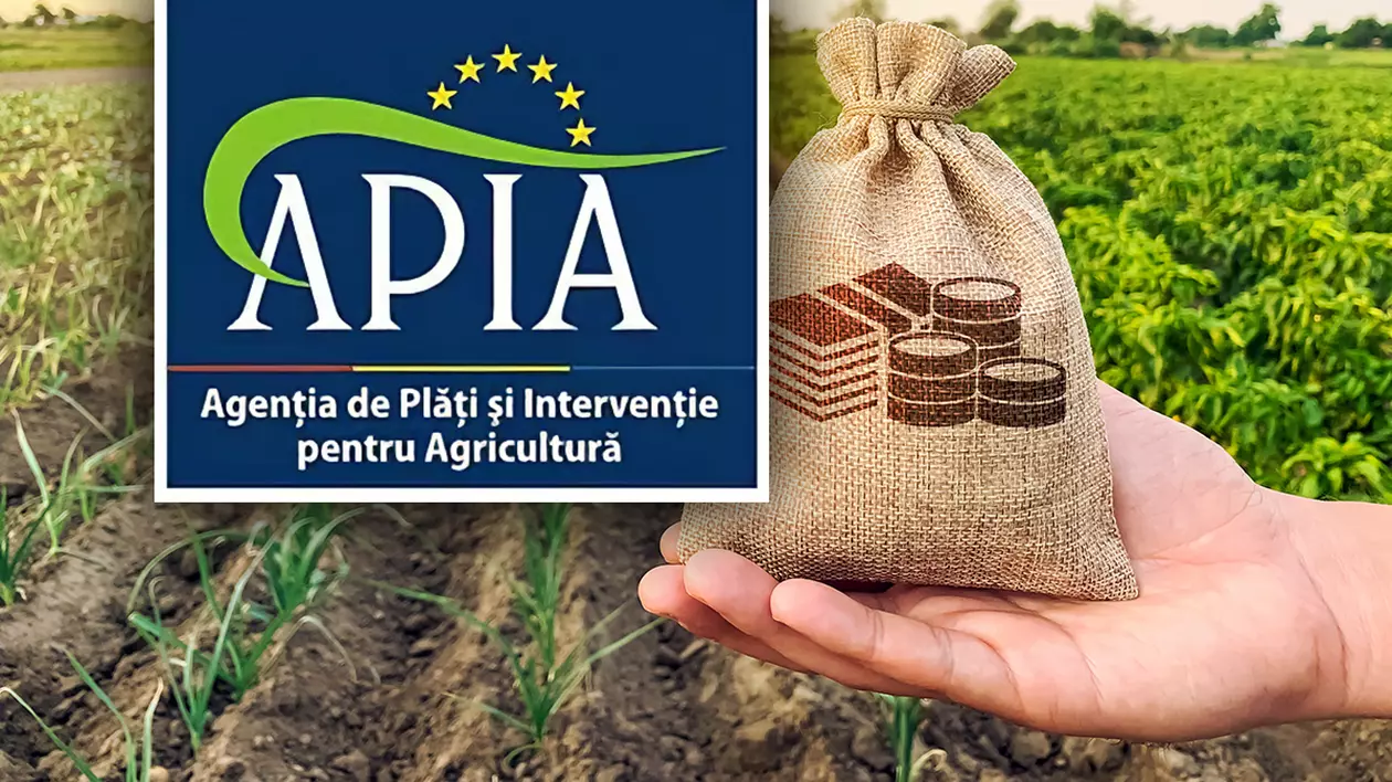 Angajata unei primării din Galați a obținut fraudulos peste 70.000 de lei, după ce a depus documente false la APIA. Ce condamnare a primit