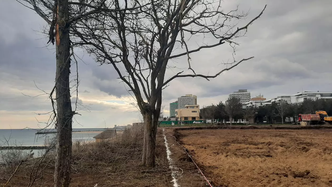 2,5 hectare din Pădurea Comorova din stațiunea Olimp vor fi defrișate pentru a face loc unui complex imobiliar