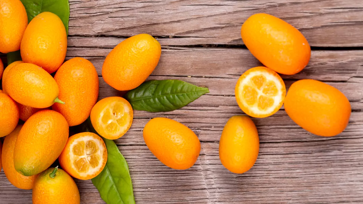 Kumquats- beneficii și plantare