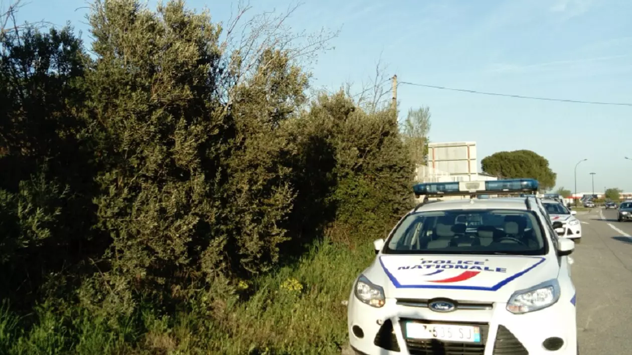 Franța