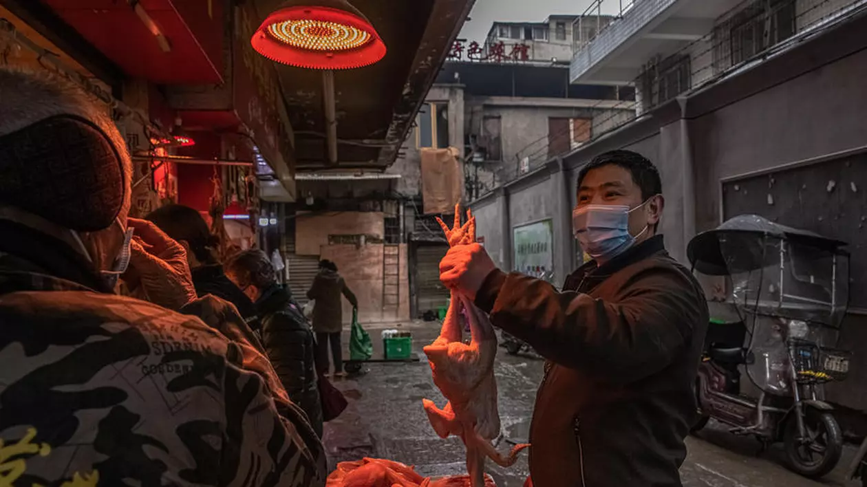 Raport preliminar OMS, după ancheta în Wuhan privind COVID-19. Cele patru ipoteze luate în calcul ca sursă a virusului