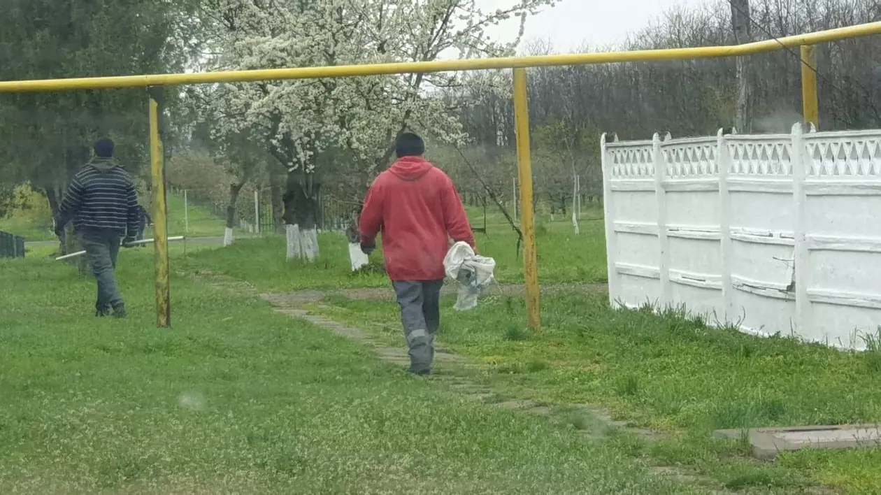 Zeci de câini au fost aruncați la groapa de gunoi a unei mănăstiri din Galați. Animalele, băgate în saci și lăsate să se asfixieze