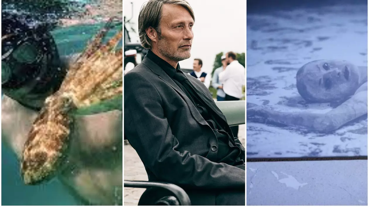 Felicitări „Another round” și „My octopus teacher” pentru victorie, mulțumiri Alexander Nanau pentru filmul tău extraordinar!