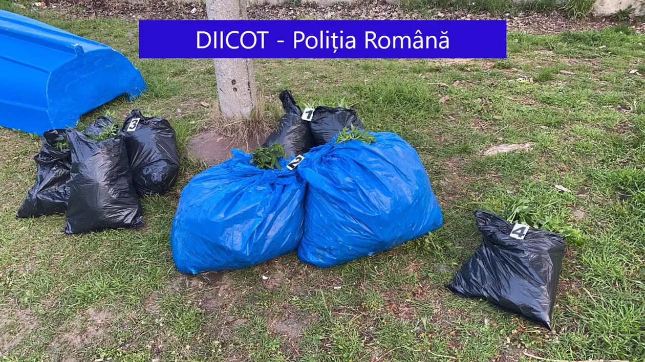 Doi bărbați din Galați, prinși când aruncau trei saci cu cannabis în Dunăre