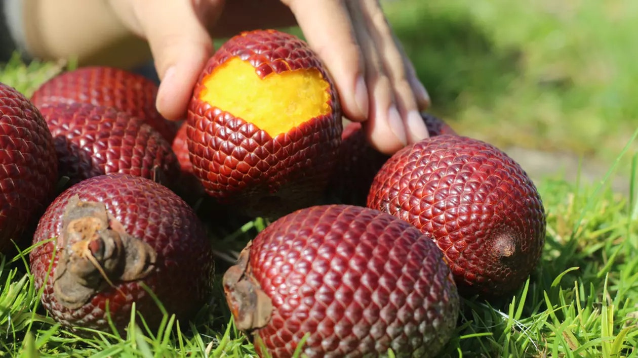 Aguaje - fruct exotic- beneficii