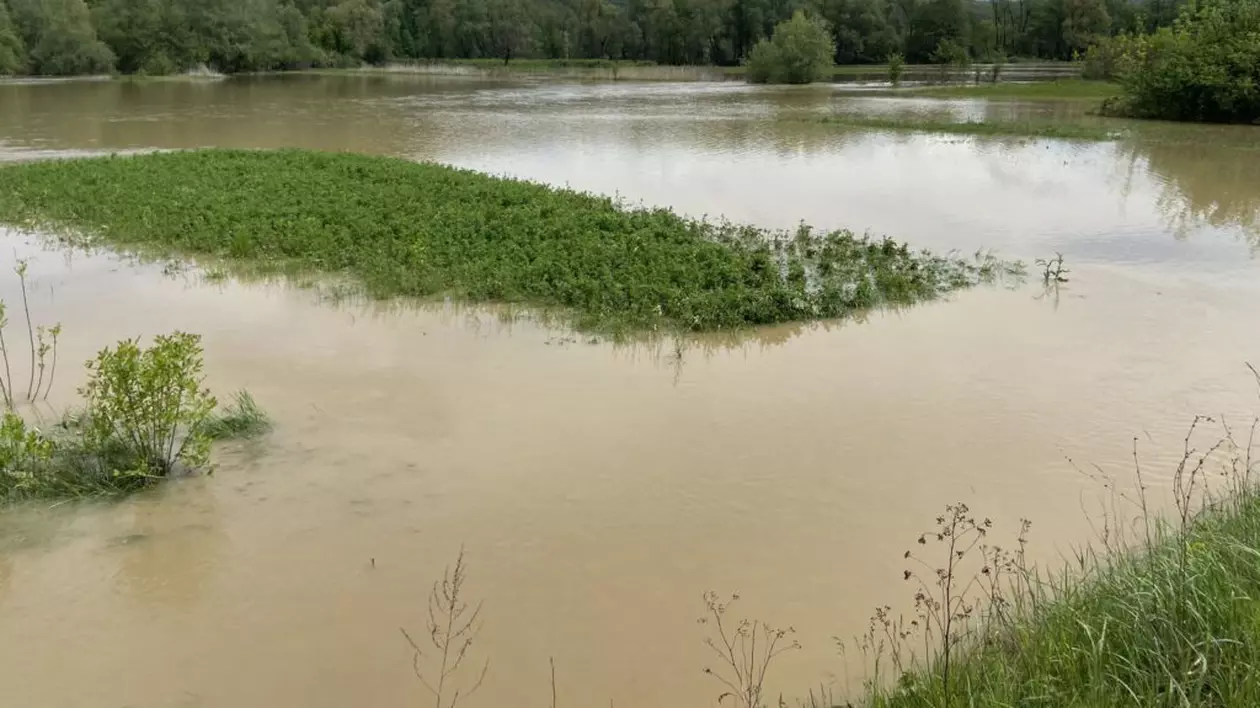 Cod galben de inundații în șase bazine hidrografice și pe râurile din Dobrogea, până luni seară