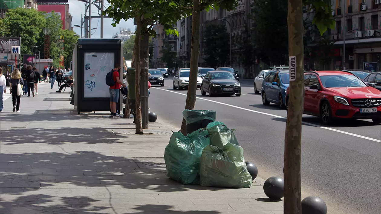 Primăria Sectorului 1 va plăti sortatorii direct, pentru a rezolva criza gunoiului