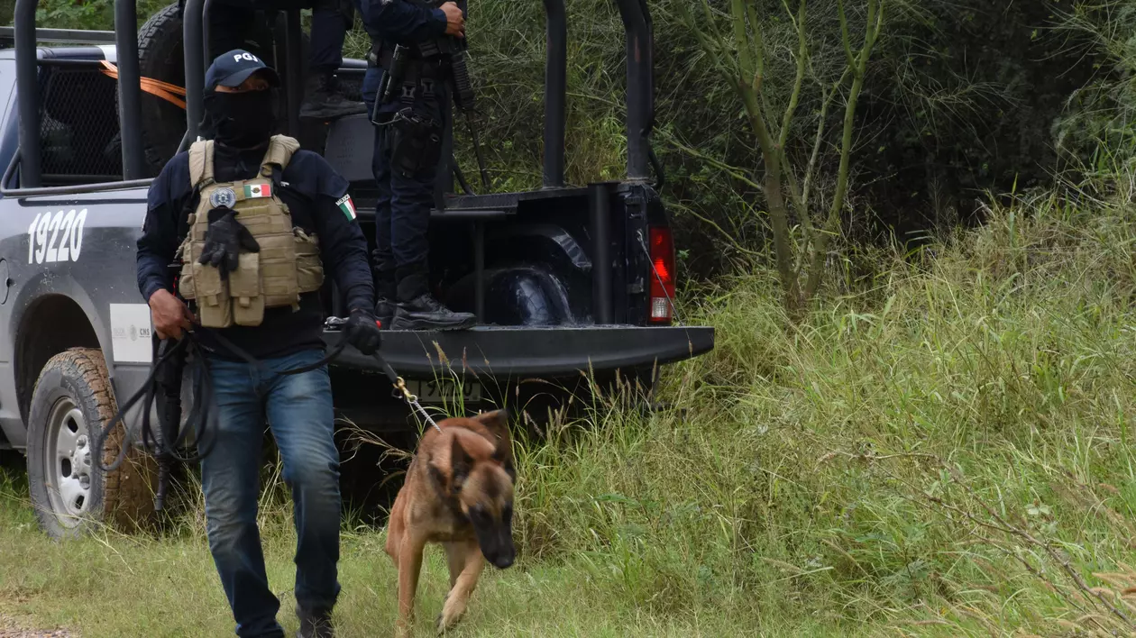 Cel puțin 15 persoane au murit într-o serie de atacuri armate în orașul mexican Reynosa
