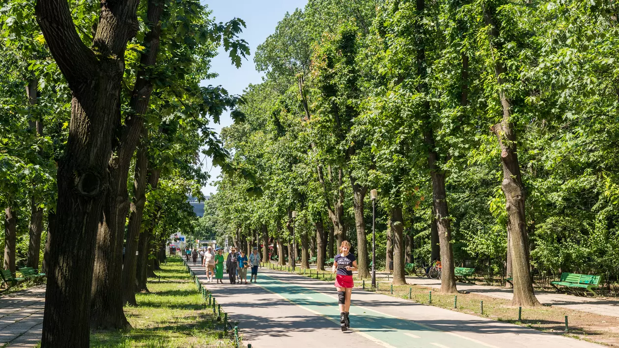 Parcuri din București. Unde sunt cele mai frumoase locuri verzi din Capitală