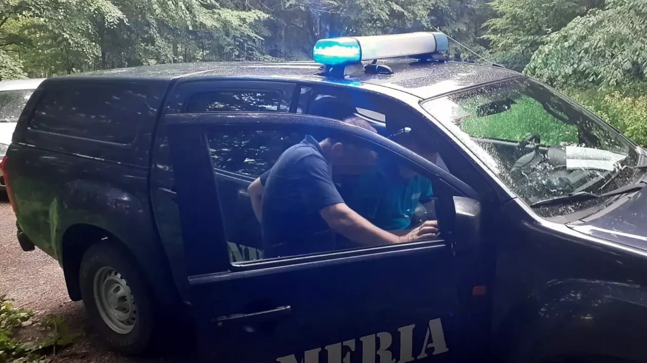 Turist amendat de jandarmi, după ce a hrănit un urs în zona Cotei 1400 Sinaia