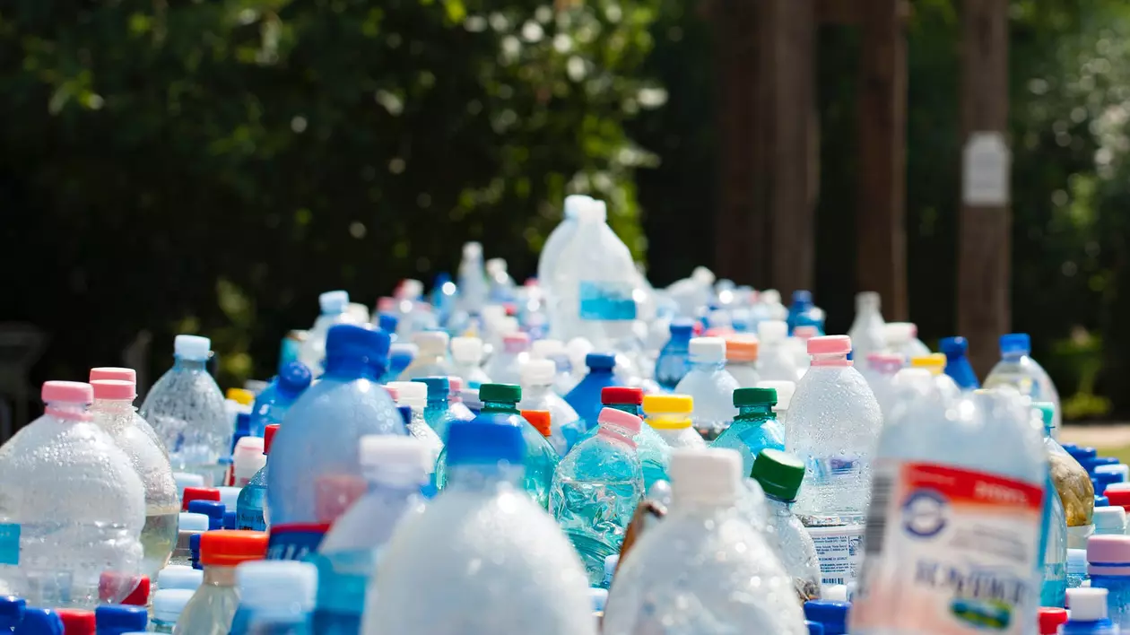 (Publicitate) Reciclarea: înțelegerea codurilor și importantă coșurilor speciale