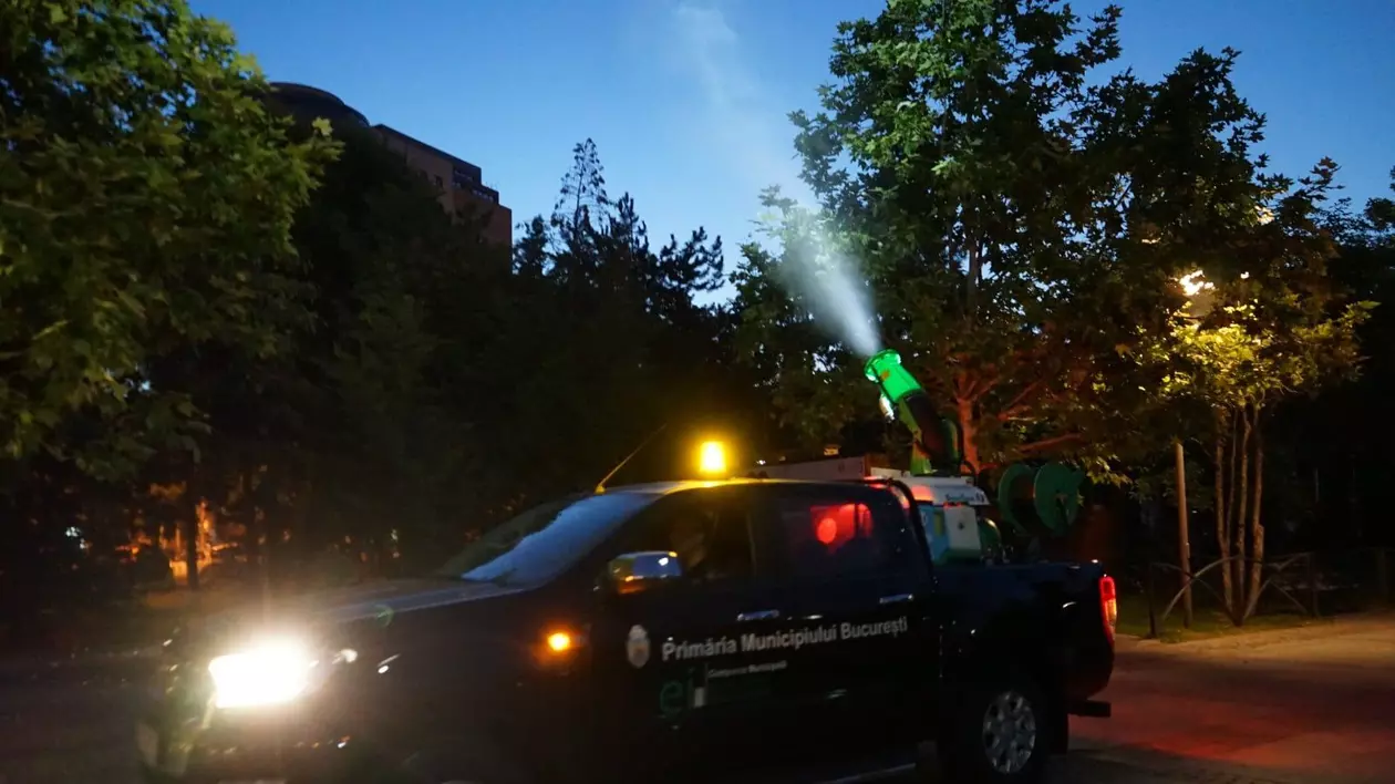 Primăria Bucureşti anunţă un nou tratament de combatere a ţânţarilor