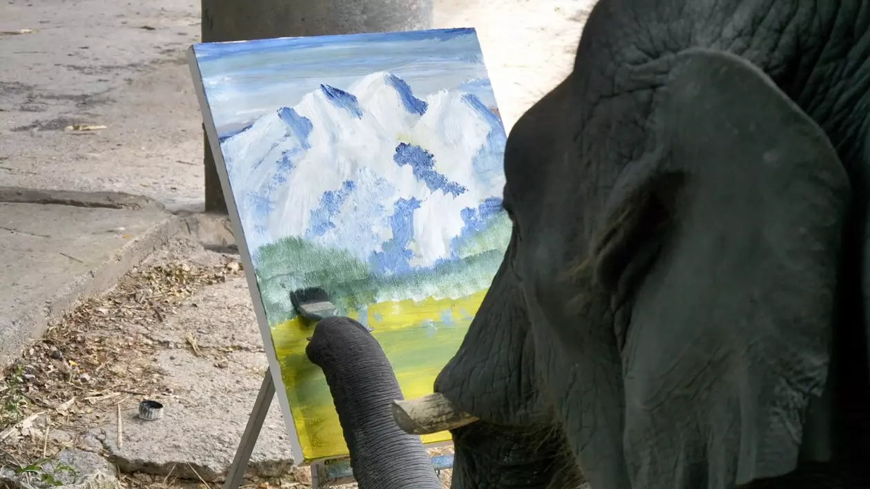 Un pui de elefant din Thailanda pictează tablouri care se vând la licitație cu sute de lire