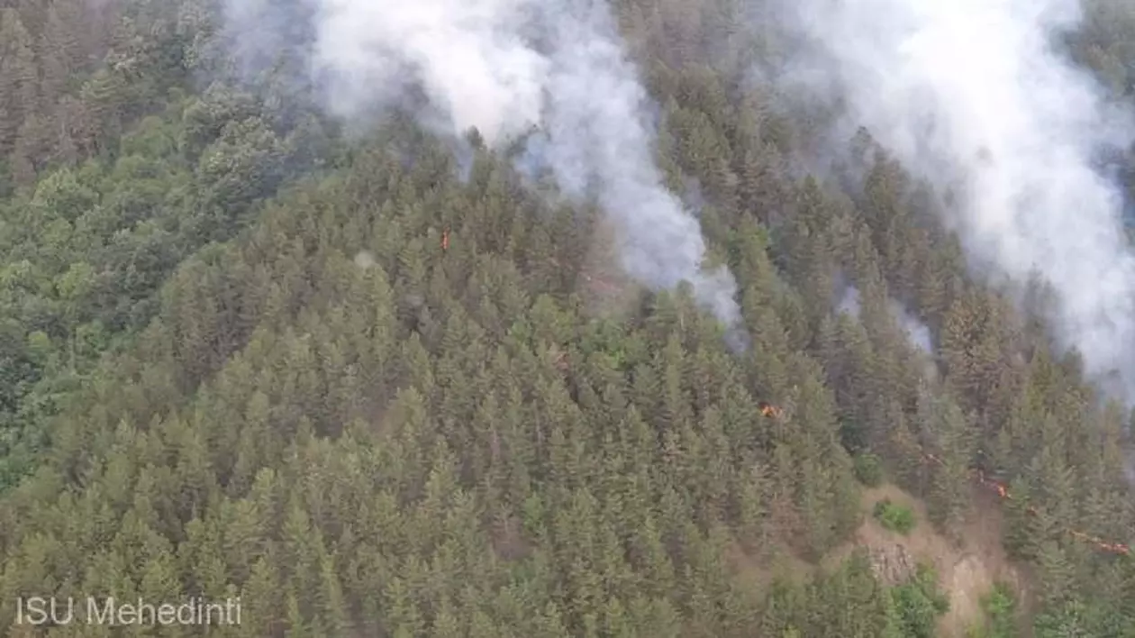 Incendiul din Parcul Natural Porţile de Fier, stins după aproape o zi. 10 hectare de vegetaţie, afectate
