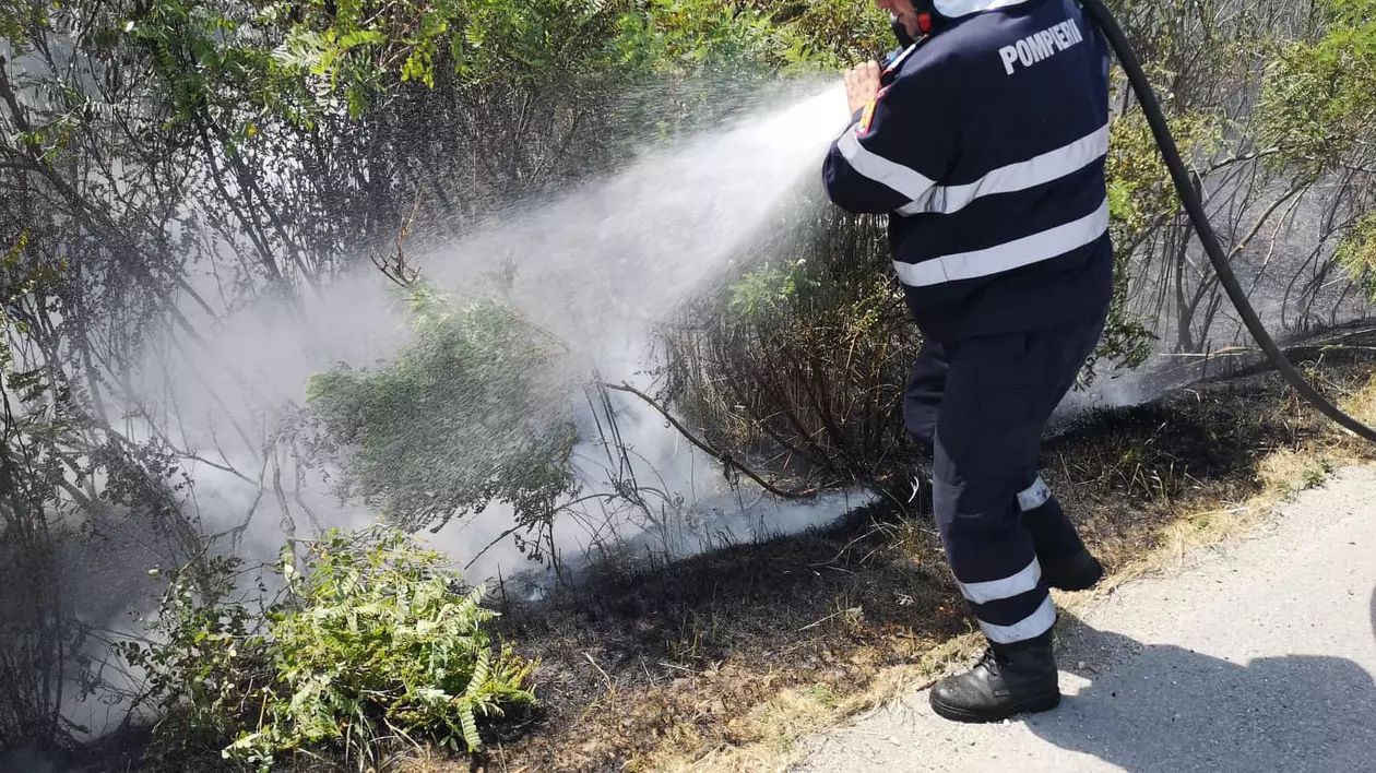 Incendiu de vegetație în Dâmbovița. Șoferii care circulau pe autostrada A1 au sunat la 112