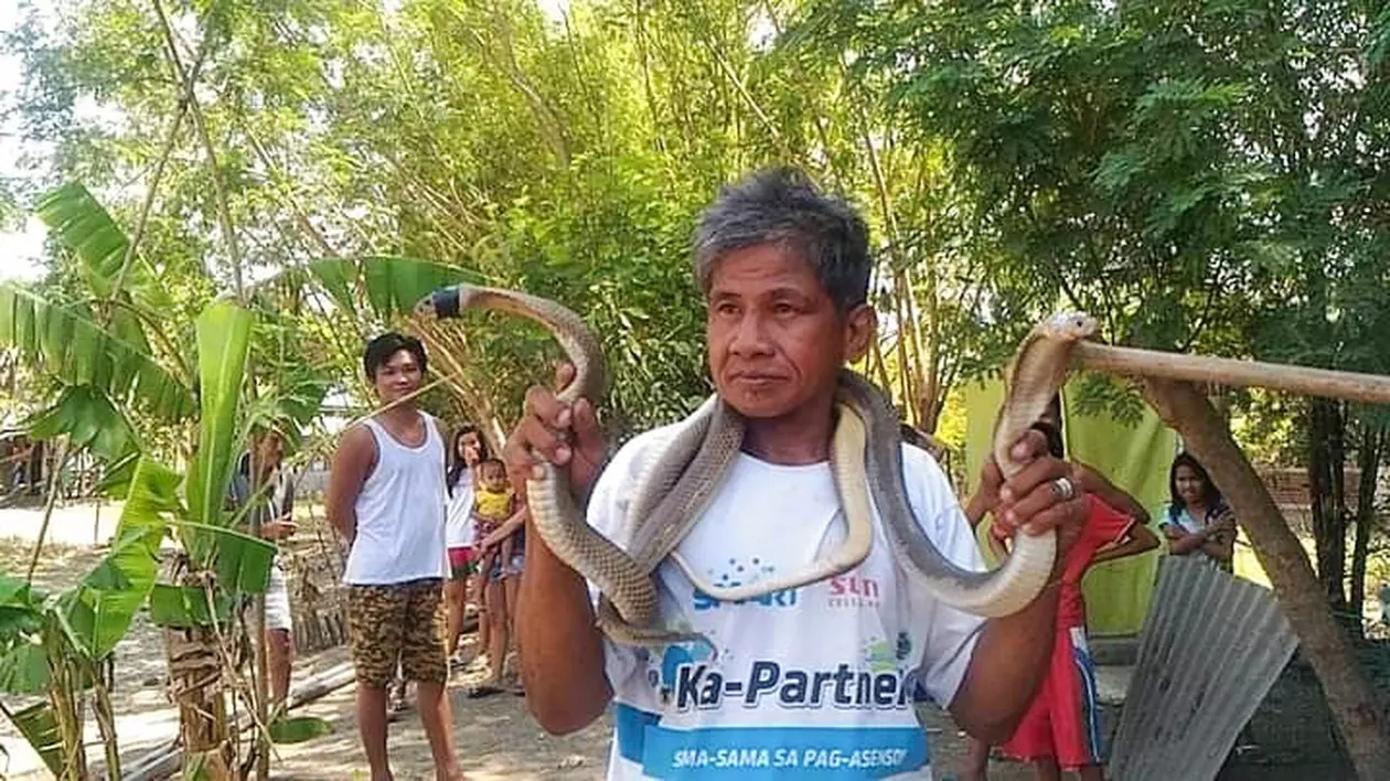 Filipinezul care se declara imun la venin a fost ucis de o cobră pe s-a prefăcut că o sărută