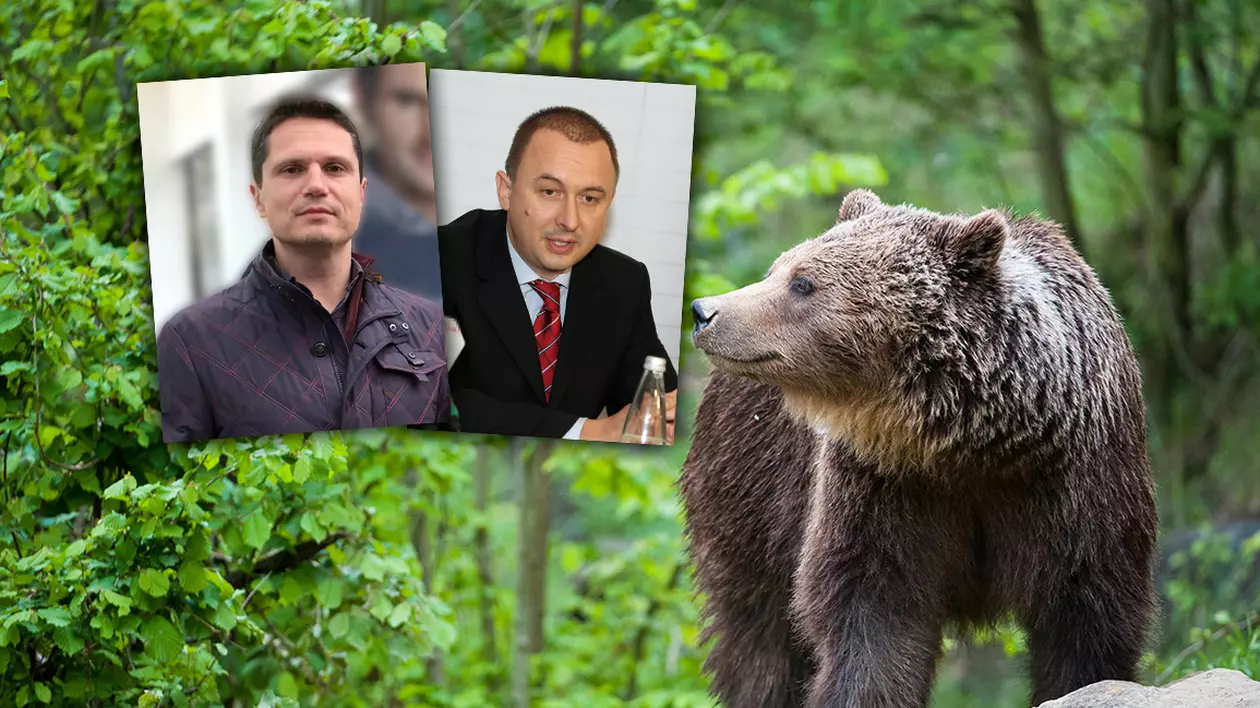 Dansând cu urșii. Cum s-au dat derogări pe fondurile cinegetice gestionate de președintele CA Romsilva și de un fost șef al vămilor
