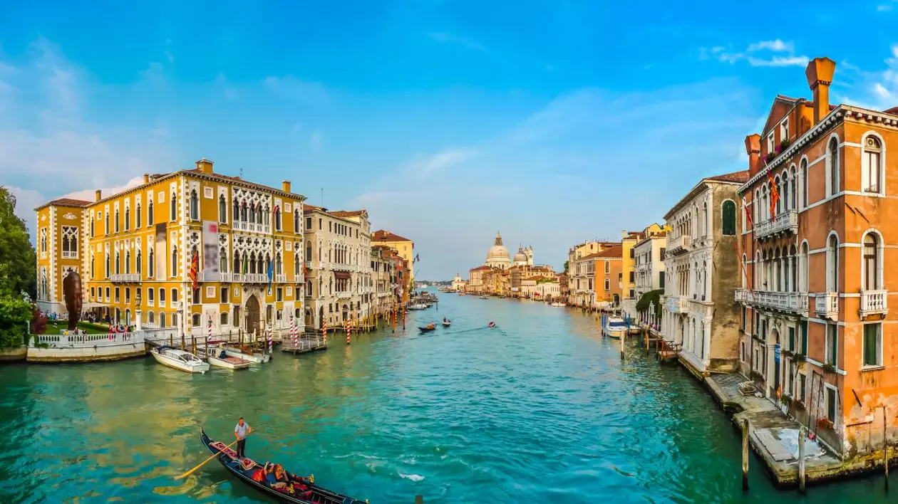 De unde vine expresia „tufă de Veneția” și ce semnificație are