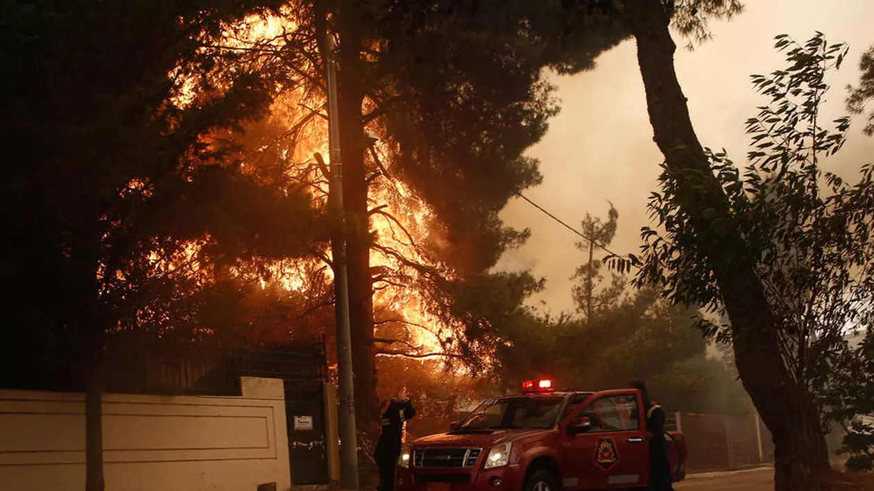 Incendiul care a făcut ravagii lângă Atena, provocat de un fermier care afuma stupii