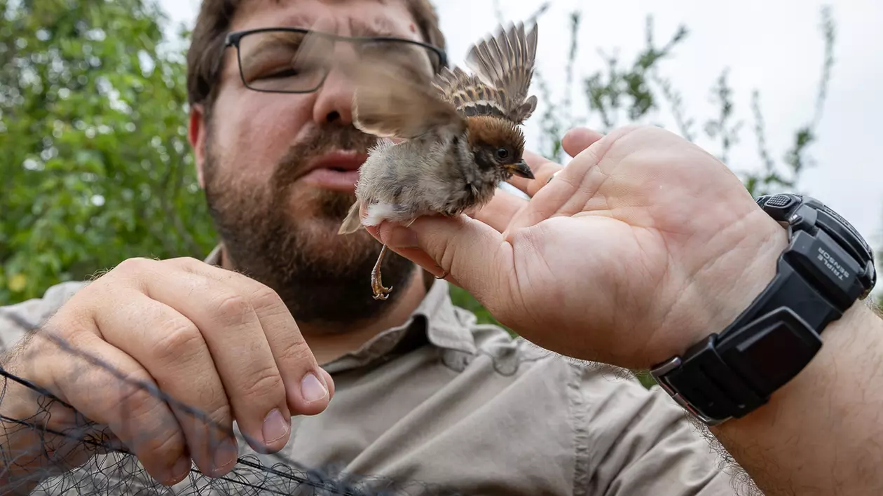 Reportaj în Dobrogea, printre păsări: „Cu cât excluzi mai multe specii, cu atât excluzi posibilitatea ta să supraviețuiești”