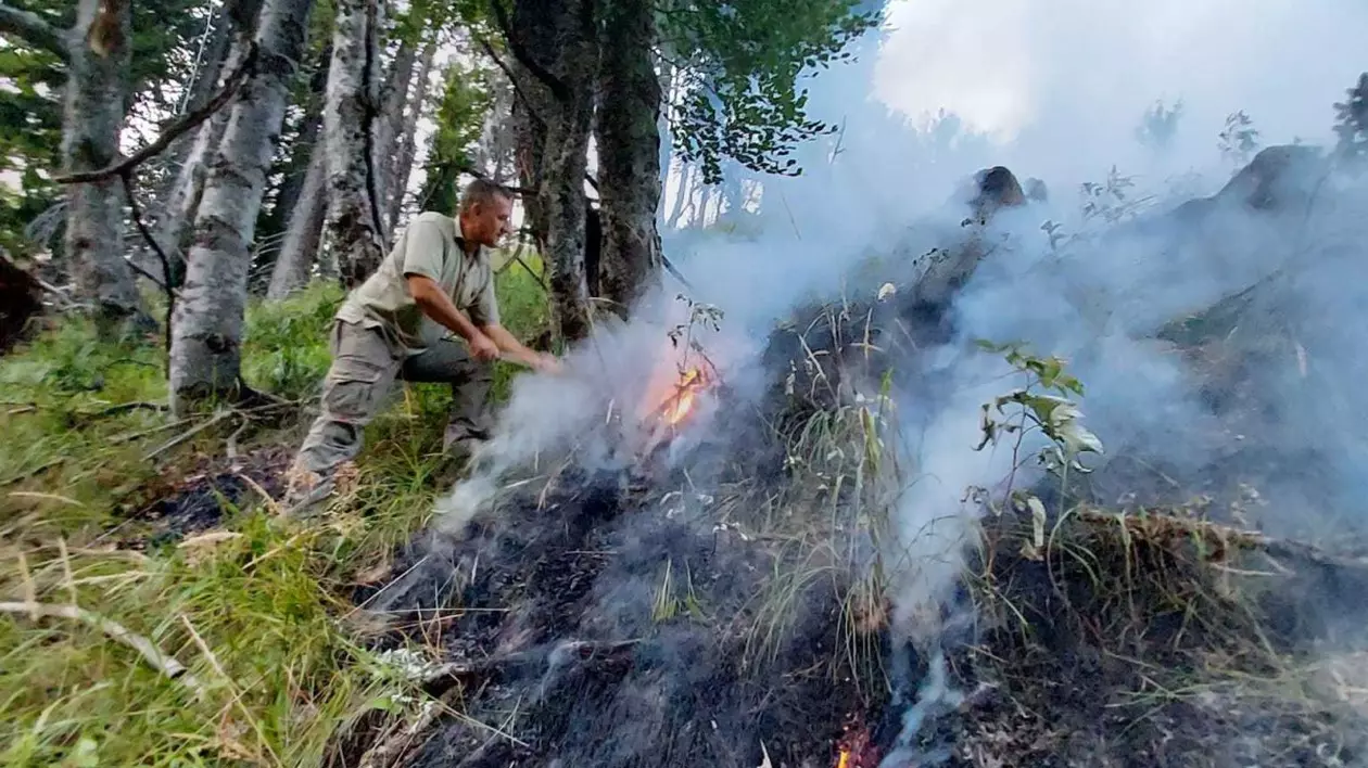 Incendiu de pădure în Munţii Căpăţânii. Patru hectare de copaci tineri au fost cuprinse de flăcări