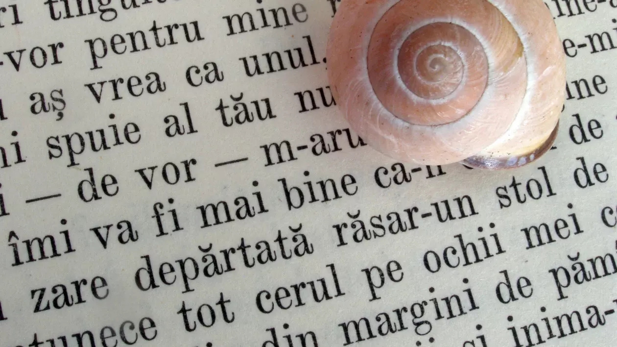 Ziua Limbii Române - Care sunt cele mai frecvente greșeli gramaticale din limba română